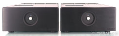 Rogue M150 Mono Tube Power Amplifiers; M-150; Black Pair