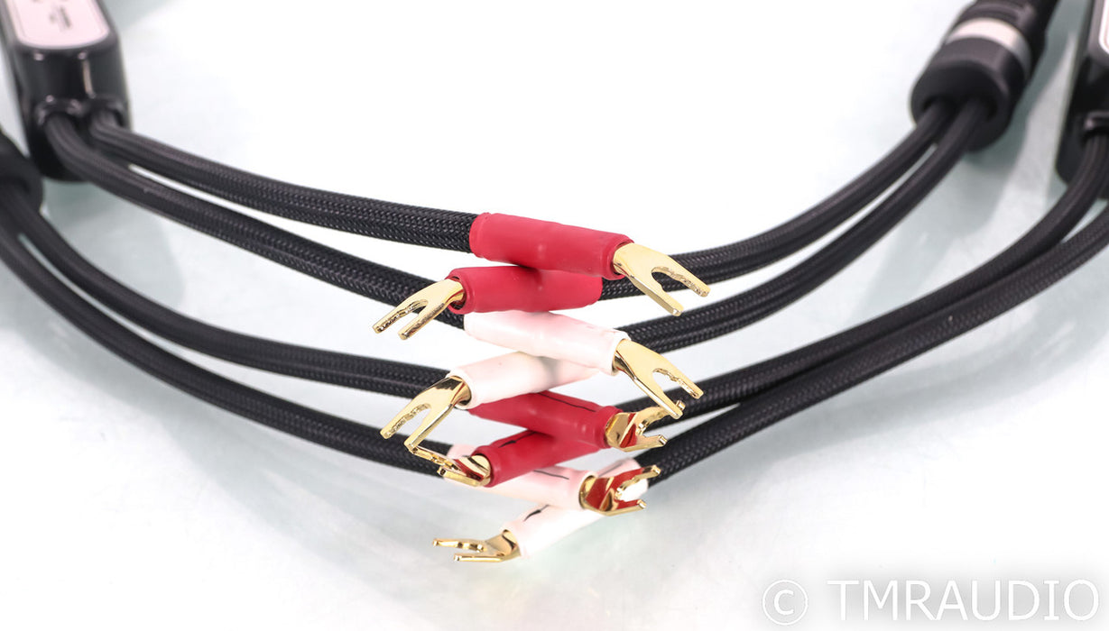 Shunyata Research Sigma v1 Speaker Cables; 2m Pair