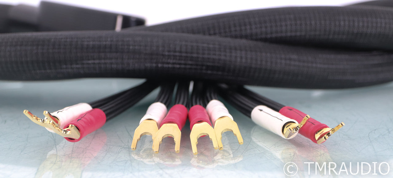 Shunyata Research Sigma v1 Speaker Cables; 2m Pair