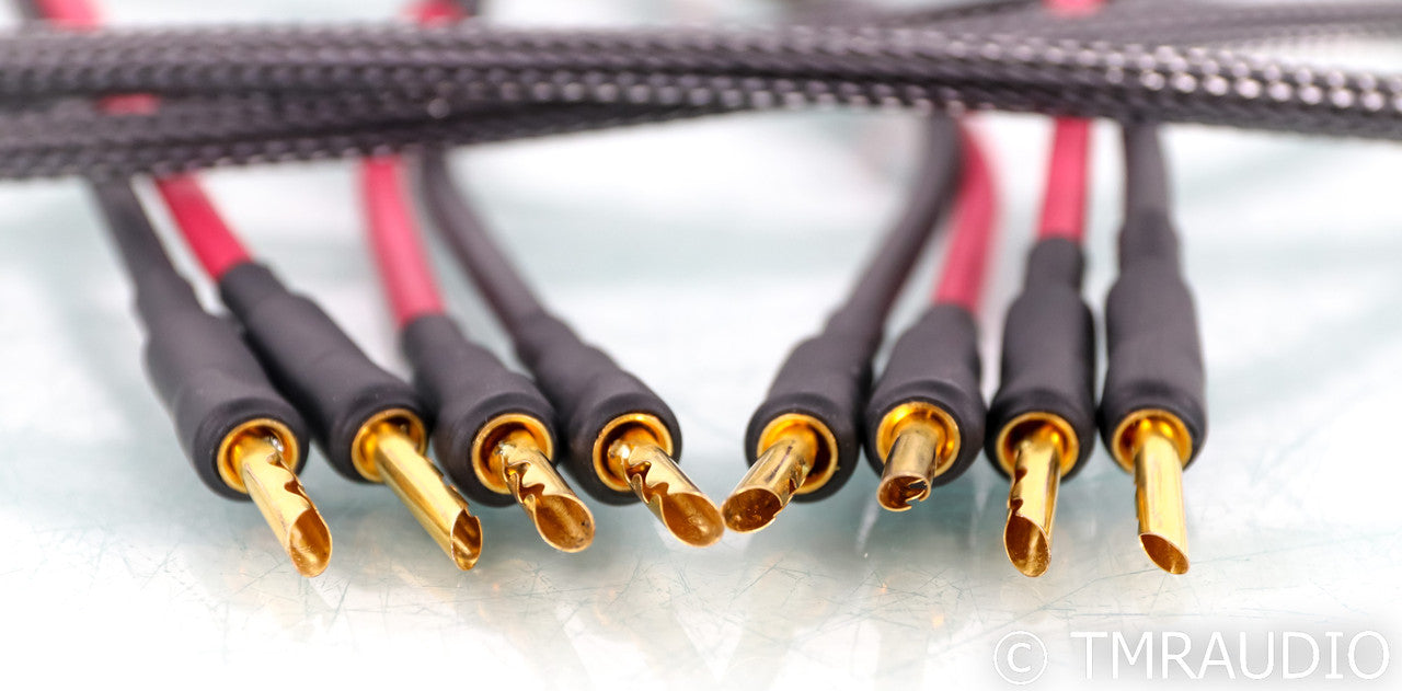 Audience Au24 SX Speaker Cables; Au-24; 2.5m Pair
