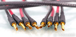 Audience Au24 SX Speaker Cables; Au-24; 2.5m Pair