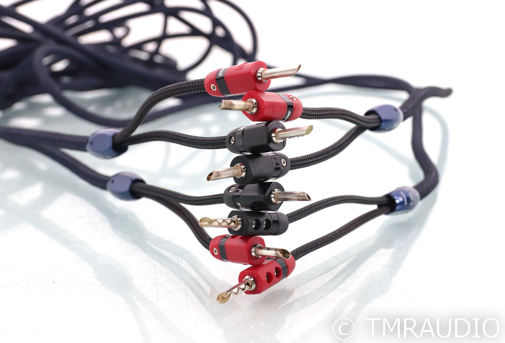 AudioQuest Type 4 Speaker Cables; 20ft Pair