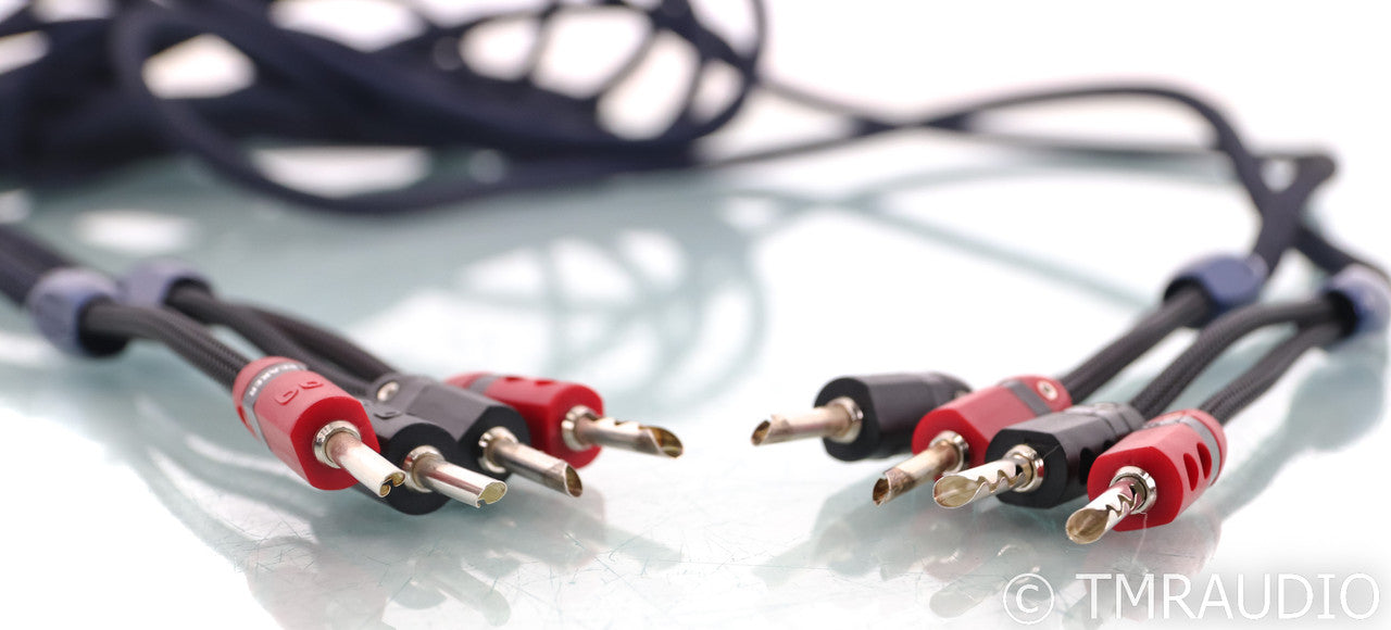 AudioQuest Type 4 Speaker Cables; 20ft Pair