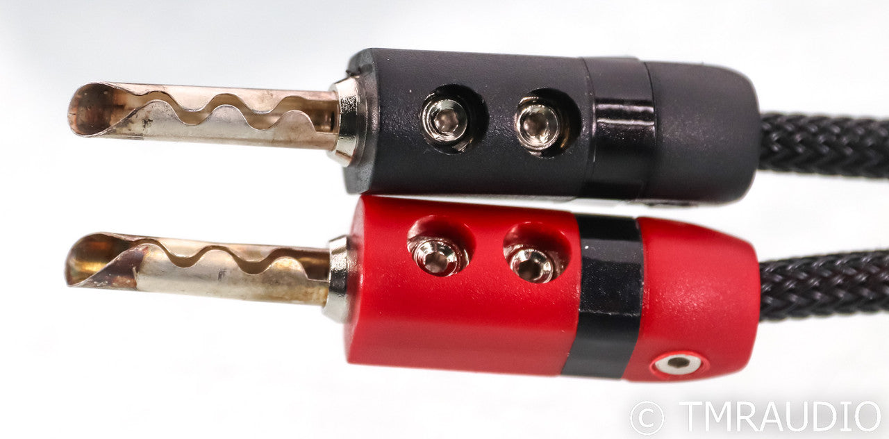 AudioQuest Type 4 Speaker Cables; 20ft Pair