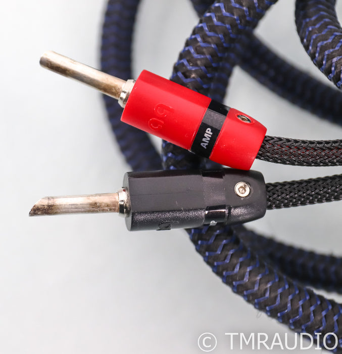 AudioQuest Type 4 Speaker Cables; 20ft Pair