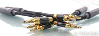WyWires Platinum Speaker Cables; 8ft Pair