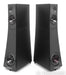 YG Acoustics Hailey 1.2 Floorstanding Speakers; Black Aluminum Pair