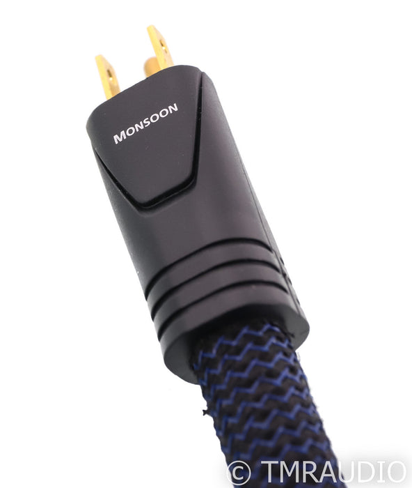 AudioQuest Monsoon Power Cable; 1m AC Cord (1/6)