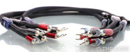AudioQuest ThunderBird Bi-Wire Combo Speaker Cables; 6ft Pair (Open Box)