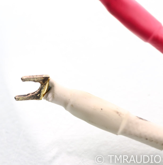 Basis Audio PSTT Speaker Cables; 2.5m Pair; Perfect Signal Transmission