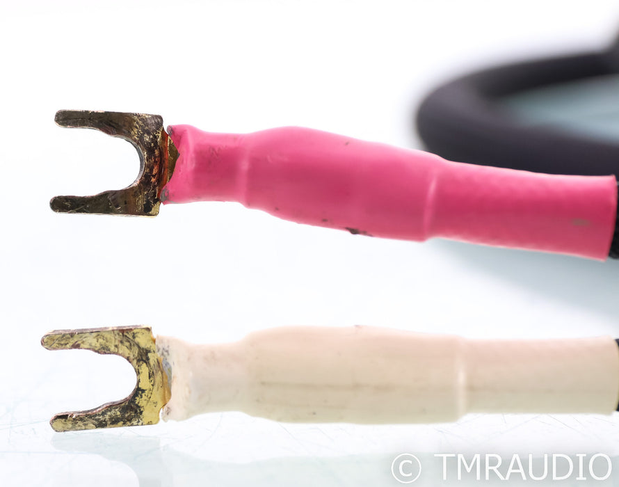 Basis Audio PSTT Speaker Cables; 2.5m Pair; Perfect Signal Transmission