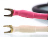 Basis Audio PSTT Speaker Cables; 2.5m Pair; Perfect Signal Transmission