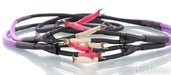 Basis Audio PSTT Speaker Cables; 2.5m Pair; Perfect Signal Transmission