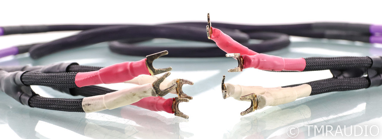 Basis Audio PSTT Speaker Cables; 2.5m Pair; Perfect Signal Transmission