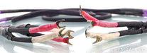 Basis Audio PSTT Speaker Cables; 2.5m Pair; Perfect Signal Transmission