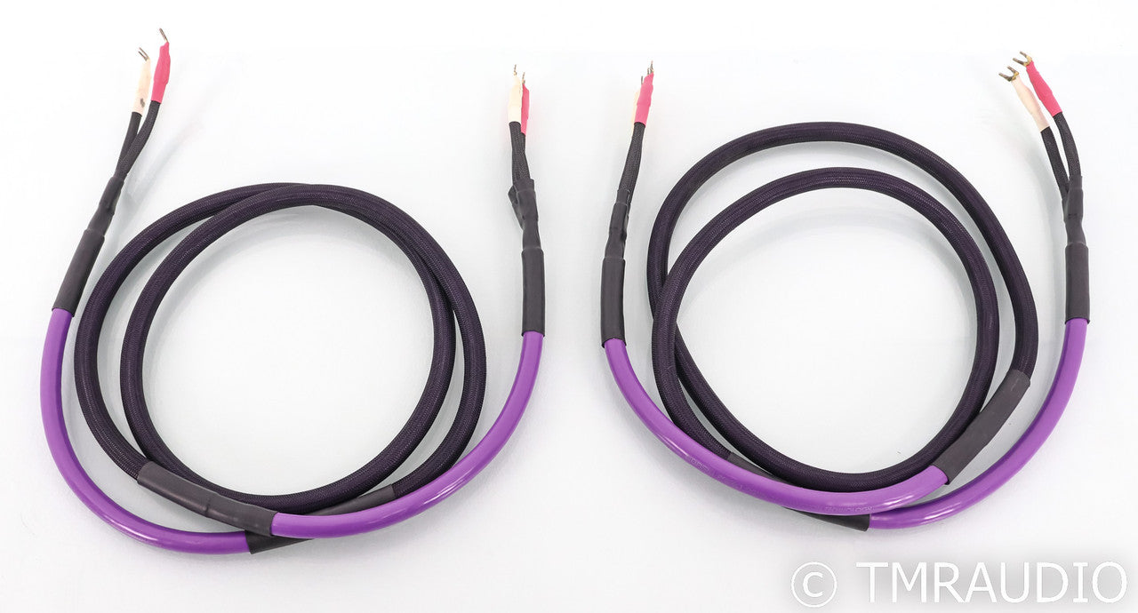 Basis Audio PSTT Speaker Cables; 2.5m Pair; Perfect Signal Transmission