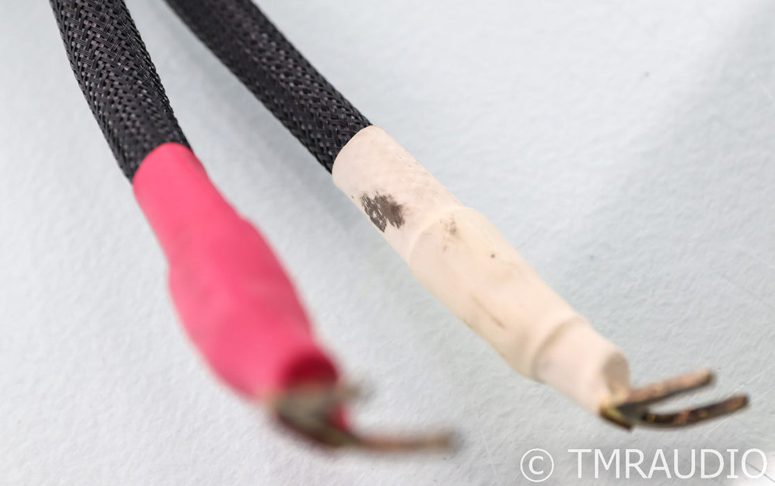 Basis Audio PSTT Speaker Cables; 2.5m Pair; Perfect Signal Transmission
