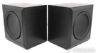 Seaton Sound F18+ 18" Powered Subwoofer w/ F18-Slave; SS-F18-Plus; Black Maple