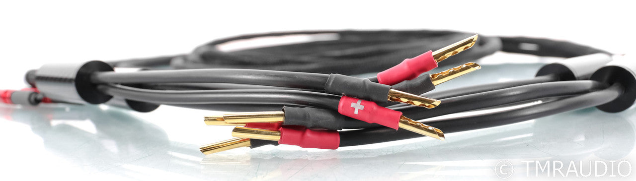 Synergistic Research Atmosphere X Speaker Cables; 13ft Pair