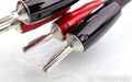 AudioQuest Oak Speaker Cables; 6ft Pair; 72v DBS