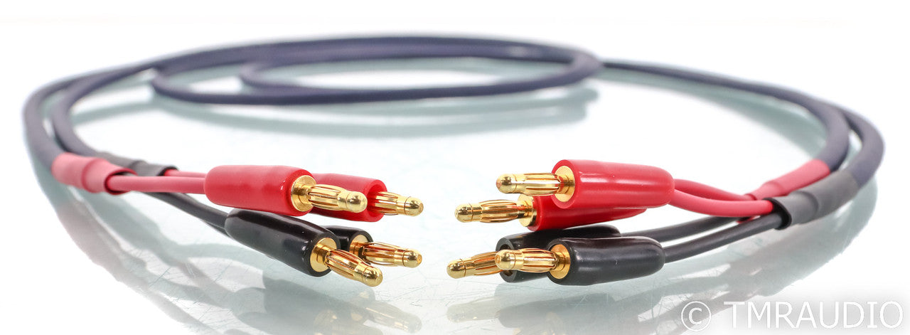 DH Labs Silver Sonic T-14 Speaker Cables; 2m Pair