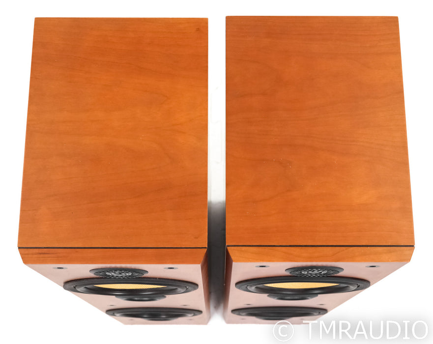 B&W P5 Floorstanding Speakers; P-5; Cherry Pair