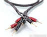 AudioQuest Rocket 44 Bi-Wire Speaker Cable; 2m Single Cable