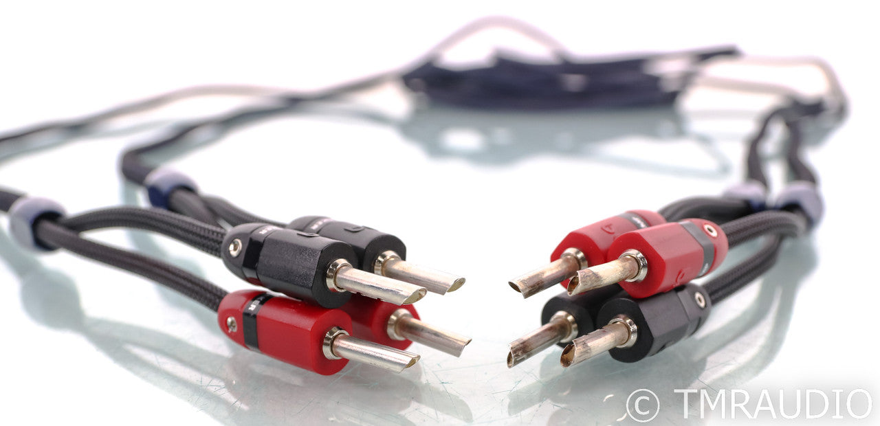 AudioQuest Type 4 Speaker Cables; 20ft Pair