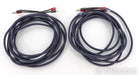 AudioQuest Type 4 Speaker Cables; 20ft Pair