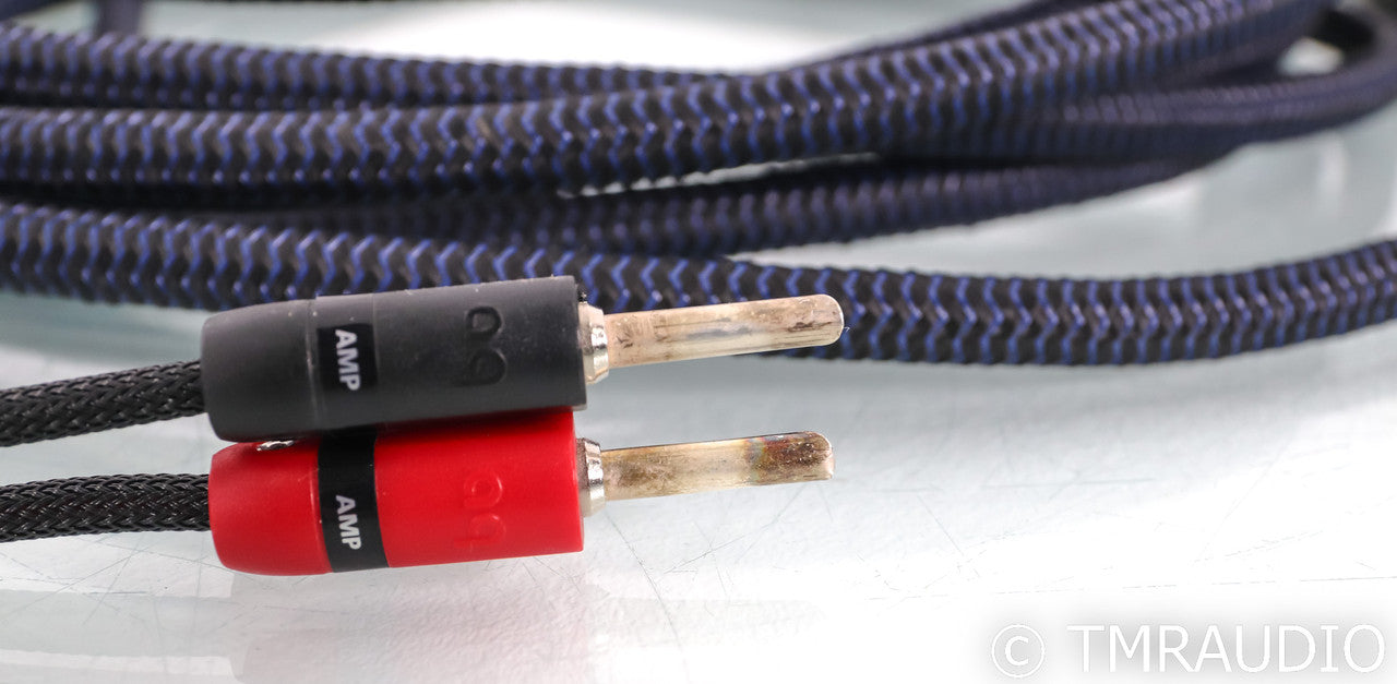 AudioQuest Type 4 Speaker Cables; 20ft Pair