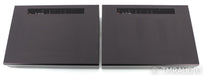 PS Audio M12000 Mono Tube Hybrid Power Amplifier; M-1200; Black Pair