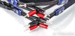AudioQuest ThunderBird ZERO Speaker Cables; 3m Pair; 72v DBS