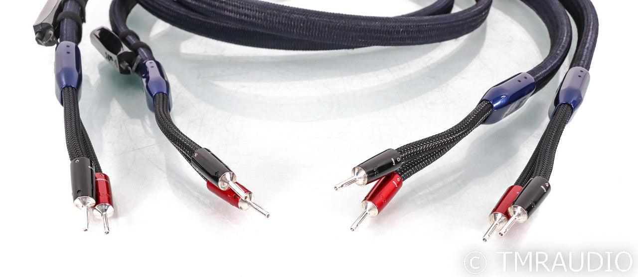 AudioQuest ThunderBird ZERO Speaker Cables; 3m Pair; 72v DBS