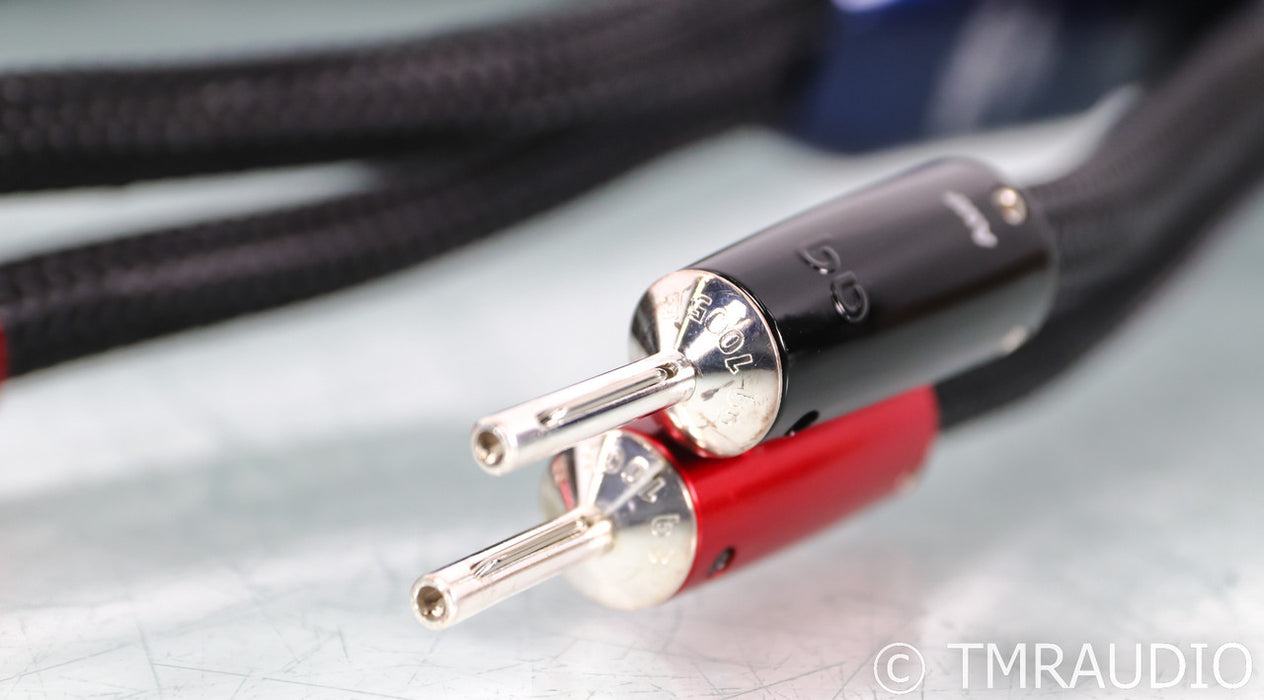 AudioQuest ThunderBird ZERO Speaker Cables; 3m Pair; 72v DBS