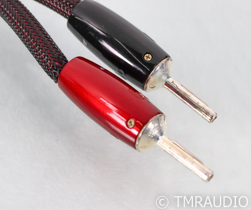 AudioQuest William Tell ZERO Speaker Cables; 10ft Pair; 72v DBS