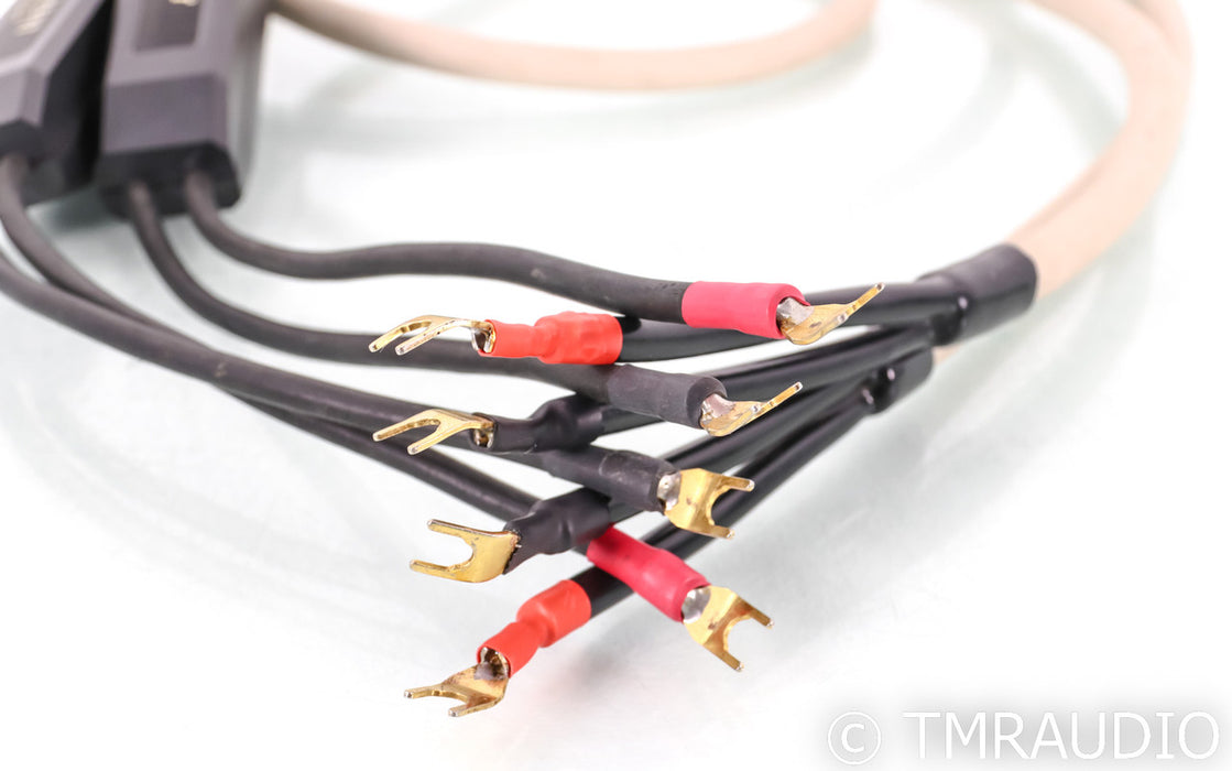 Transparent Audio MusicWave Plus Speaker Cables; 8ft Pair