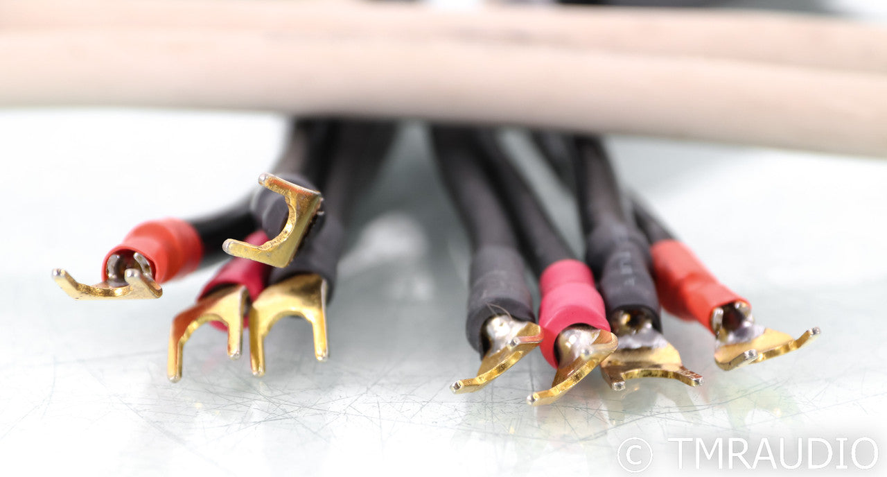 Transparent Audio MusicWave Plus Speaker Cables; 8ft Pair