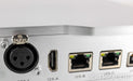 Denafrips Terminator DAC; D/A Convertor; DSD