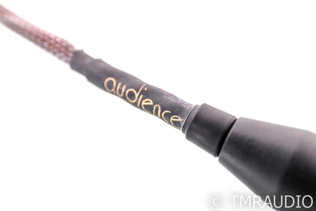 Audience OHNO XLR Cables; 1m Pair Balanced Interconnects