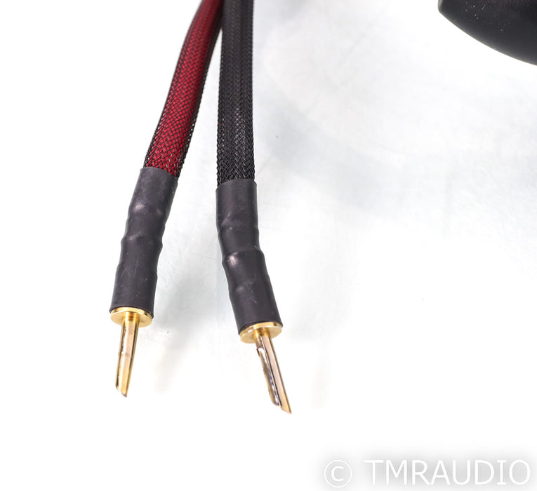 Transparent MusicWave Super Speaker Cables; 8ft Pair