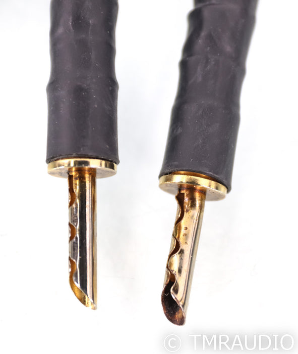 Transparent MusicWave Super Speaker Cables; 8ft Pair