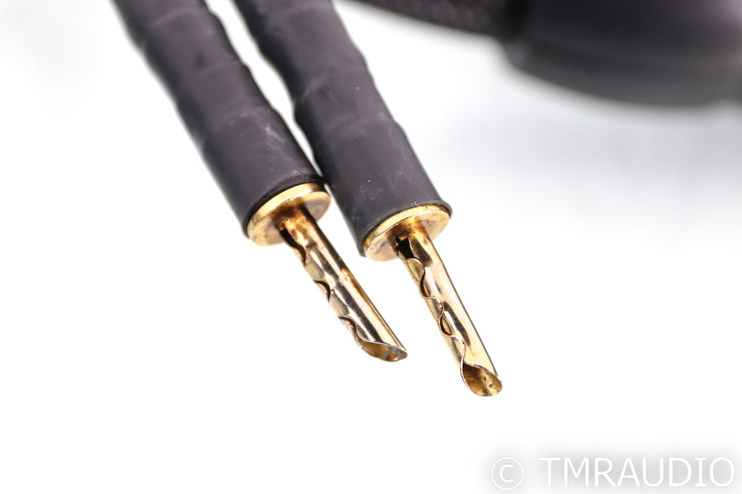 Transparent MusicWave Super Speaker Cables; 8ft Pair