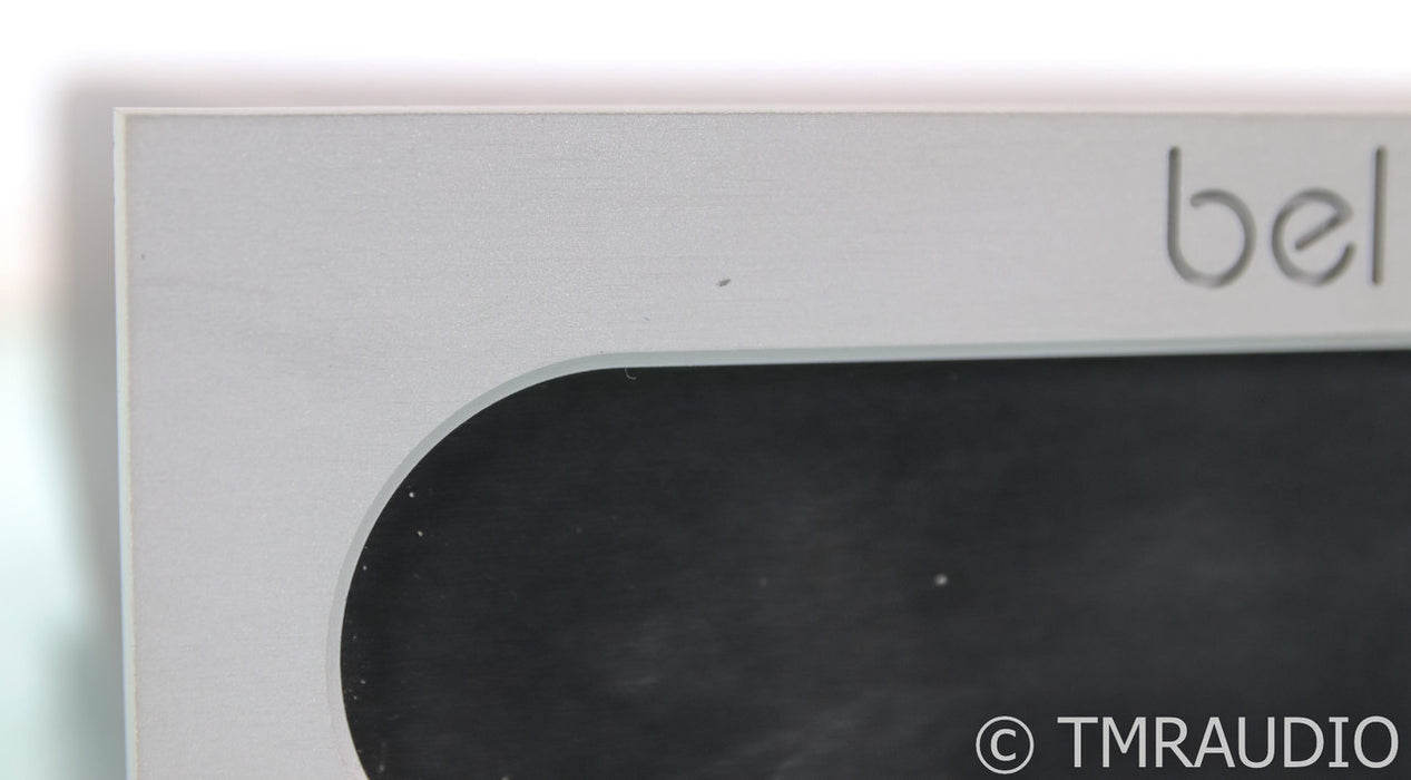 Bel Canto e.One M300 Mono Power Amplifier; Silver (Single Amplifier)