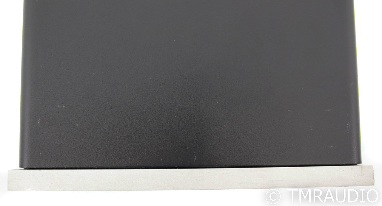 Bel Canto e.One M300 Mono Power Amplifier; Silver (Single Amplifier)