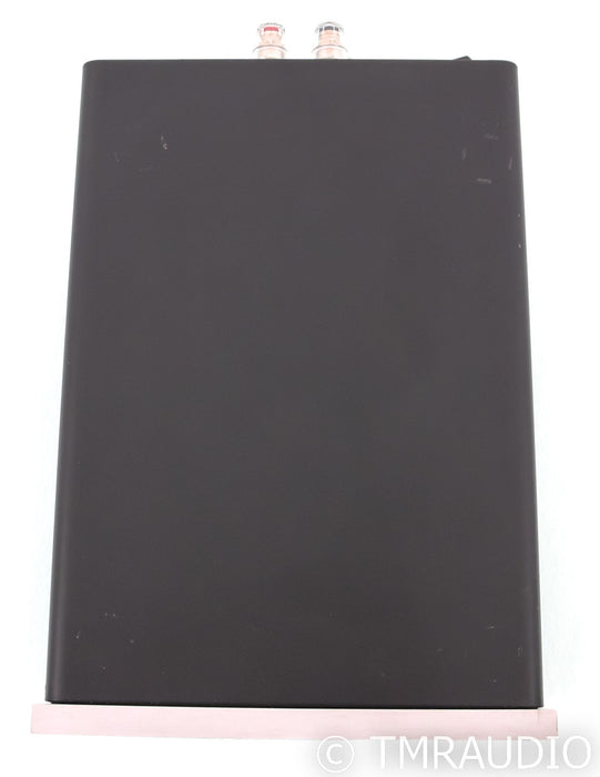 Bel Canto e.One M300 Mono Power Amplifier; Silver (Single Amplifier)