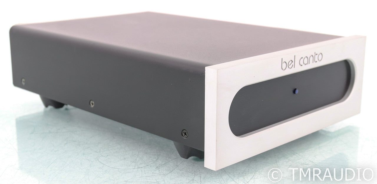 Bel Canto e.One M300 Mono Power Amplifier; Silver (Single Amplifier)