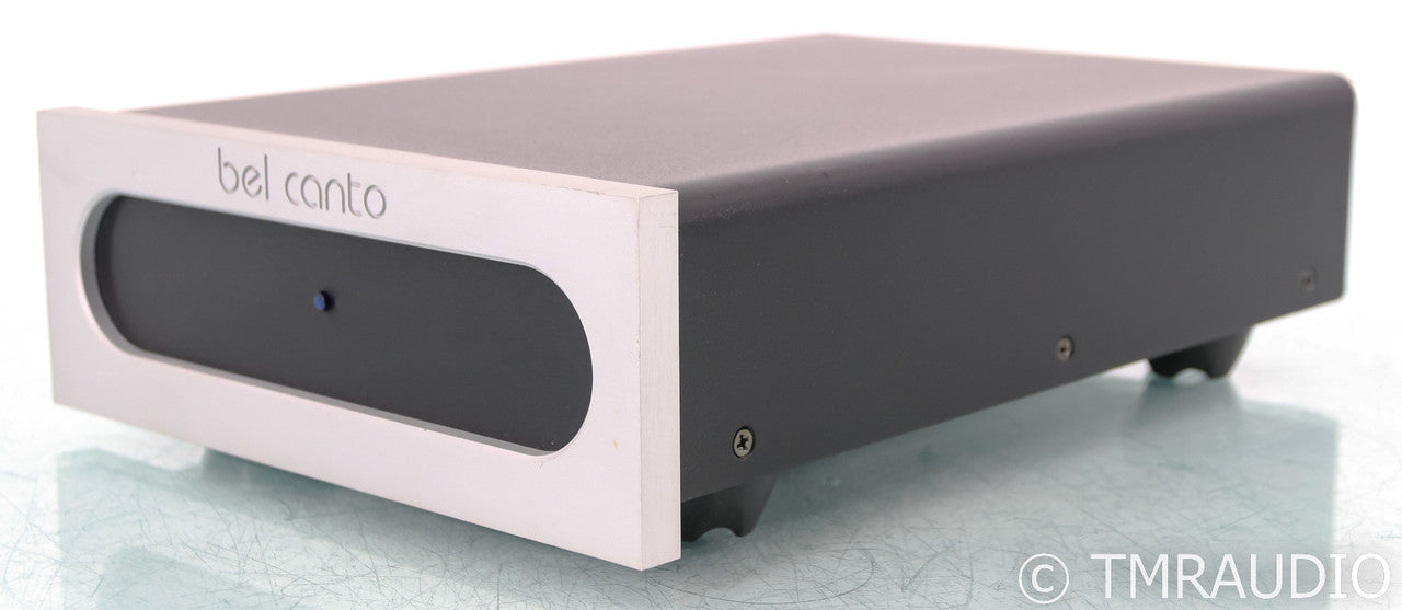 Bel Canto e.One M300 Mono Power Amplifier; Silver (Single Amplifier)