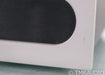 Bel Canto e.One M300 Mono Power Amplifier; Silver (Single Amplifier)