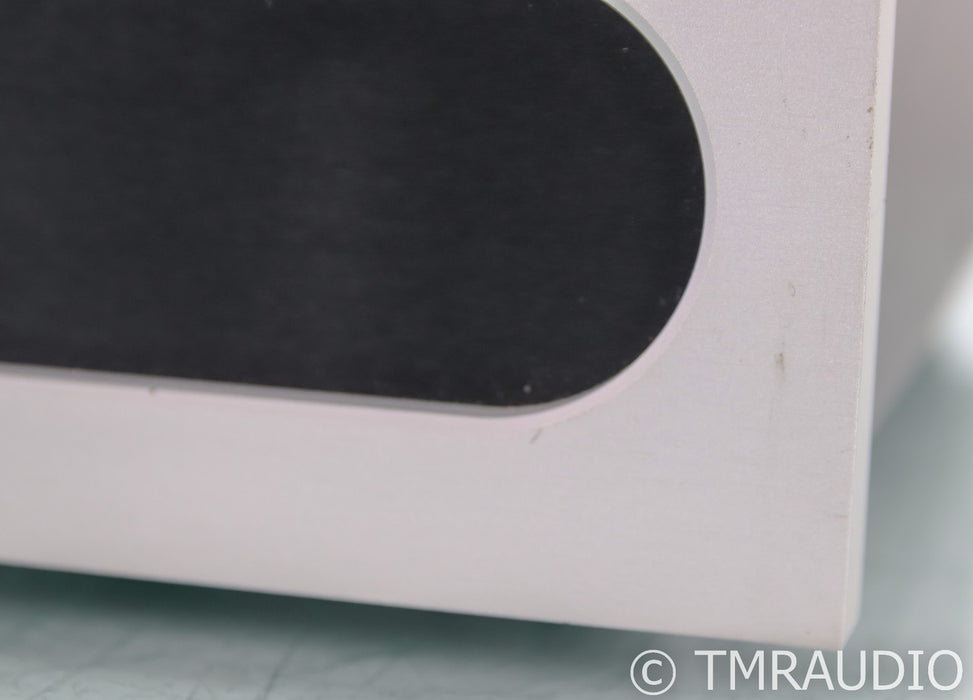 Bel Canto e.One M300 Mono Power Amplifier; Silver (Single Amplifier)