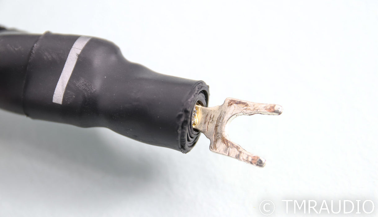 Synergistic Research Galileo SX Speaker Cables; 8ft pair